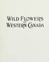 Citation block thumbnail