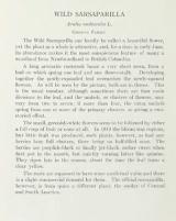 Citation block thumbnail