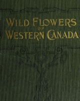 Citation block thumbnail