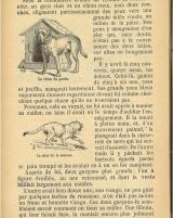 Citation block thumbnail