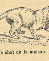 Citation block thumbnail