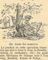 Citation block thumbnail