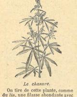 Citation block thumbnail