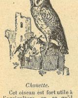 Citation block thumbnail