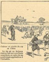 Citation block thumbnail