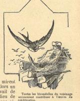 Citation block thumbnail