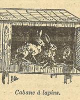 Citation block thumbnail