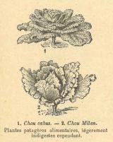 Citation block thumbnail