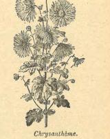 Citation block thumbnail