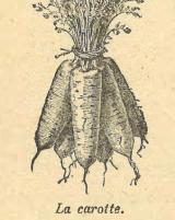 Citation block thumbnail