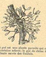 Citation block thumbnail