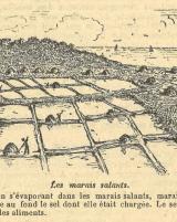 Citation block thumbnail