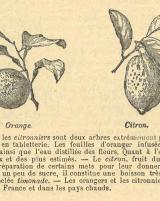 Citation block thumbnail