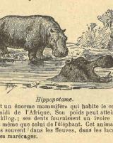 Citation block thumbnail