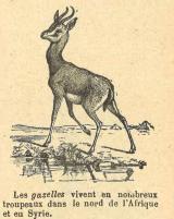 Citation block thumbnail