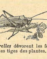 Citation block thumbnail