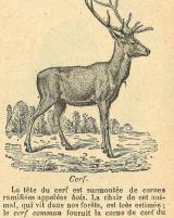 Citation block thumbnail