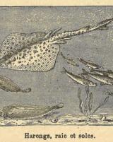 Citation block thumbnail