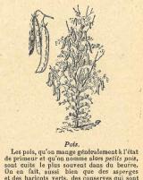 Citation block thumbnail