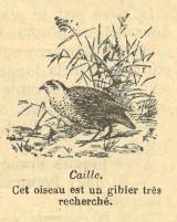 Citation block thumbnail