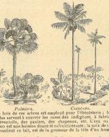 Citation block thumbnail