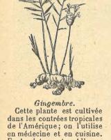 Citation block thumbnail